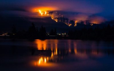 Fireworks cause massive forest fires so why do Oregon and Washington still allow them? (UPDATED)